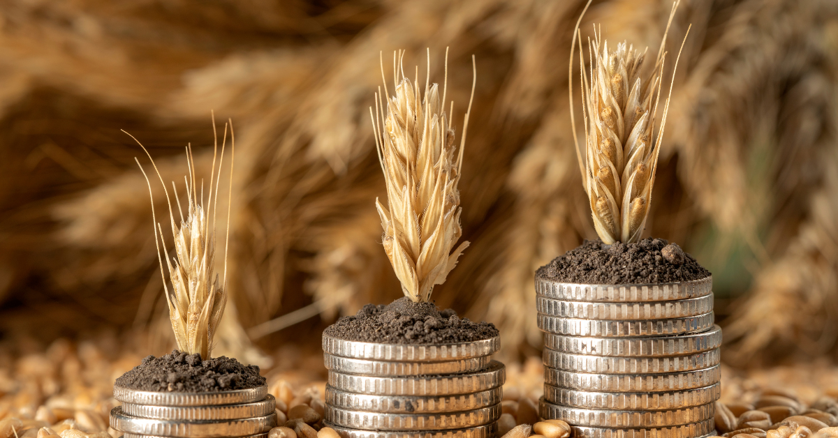 Agronegócio e Crédito Rural: Como Funciona a Renegociação de Dívidas